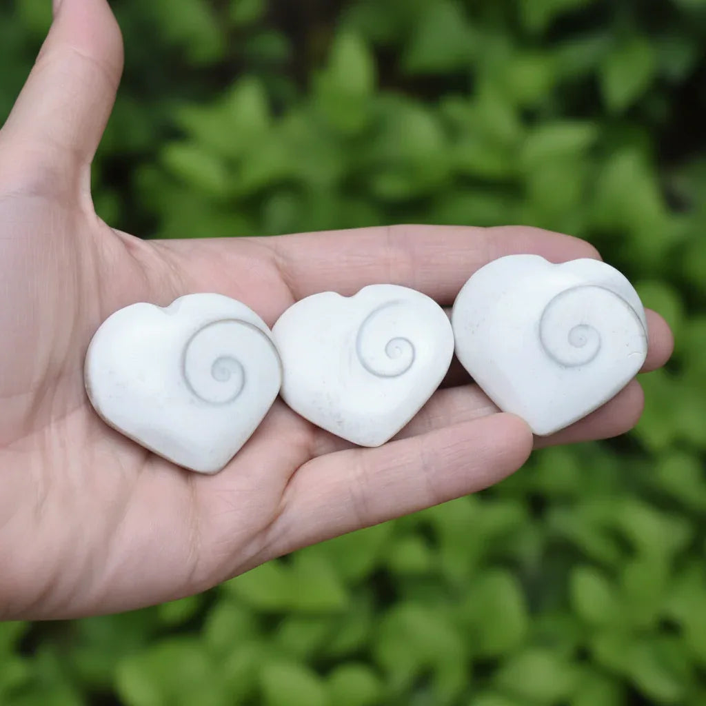 Cœur en Œil de Sainte-Lucie (PRGFL533)