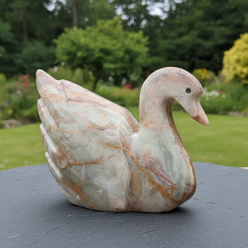 Cygne en Aragonite et Calcite 409g (PRGFL622-6)