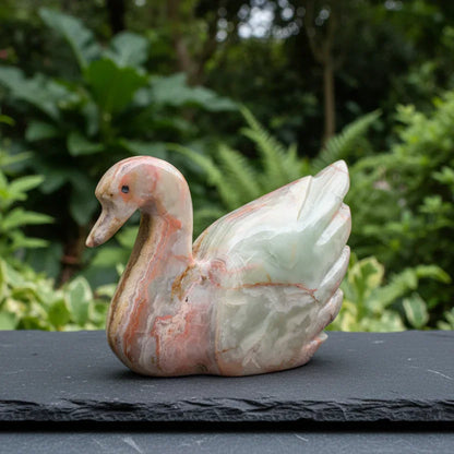 Cygne en Aragonite et Calcite 409g (PRGFL622-6)