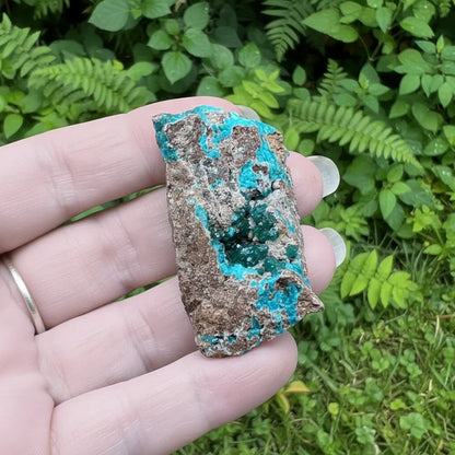 Dioptase, Calcite, Wulfénite et Shattuckite brute 30g (MB463)