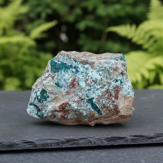 Dioptase brute avec Planchéite, Shattuckite, Cérusite 1157g (MB432-1)