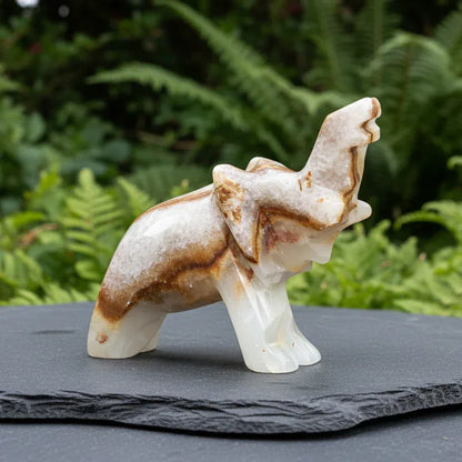 Eléphant en Calcite et Aragonite 42g (PRGFL346-63)