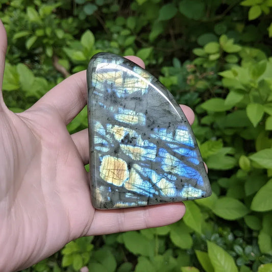 Forme libre en Labradorite 349g (PRGFL730)