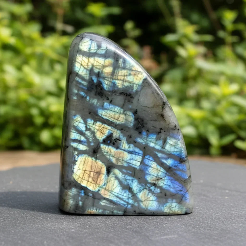 Forme libre en Labradorite 349g (PRGFL730)