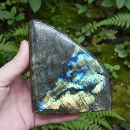 Forme libre polie en Labradorite 653g (PRGFL256-2)