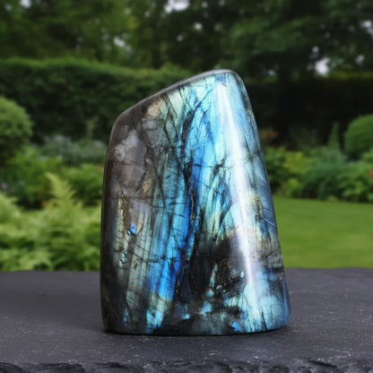 Forme libre en Labradorite 1015g (PRGFL527-6)