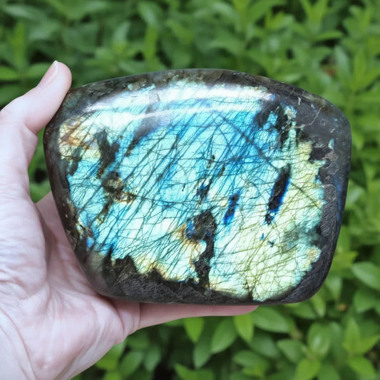 Forme libre en Labradorite 1229g (PRGFL527-9)