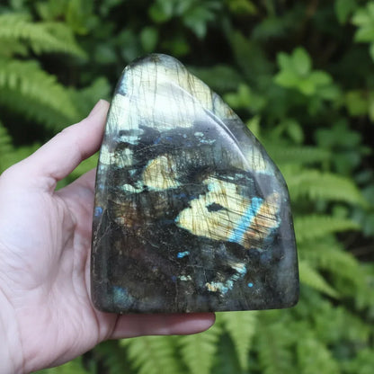 Forme Libre Labradorite 921g (PRGFL527-7)