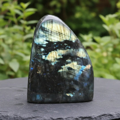 Forme Libre Labradorite 921g (PRGFL527-7)