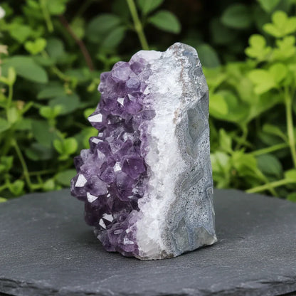 Géode d'Améthyste brute 1034g (MB330-9)