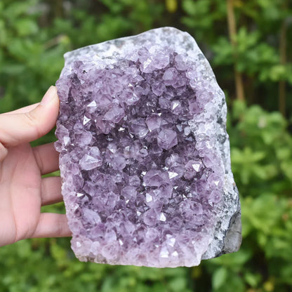 Géode d'Améthyste brute 1611g (MB330-10)