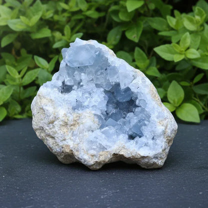 Géode de Célestine bleue brute 448g (MB331-5)