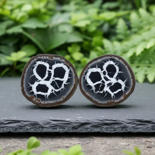 Grand nodule à Septaria 204g (PRGFL301-4)