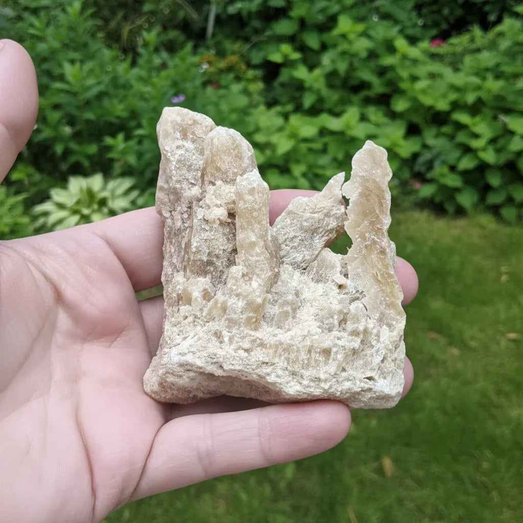 Gypse "Fer de Lance" et Argile bruts 127g (MB525-2)