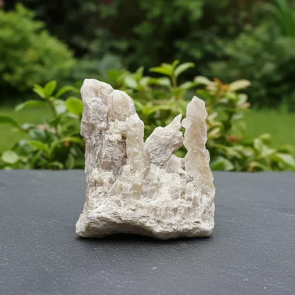 Gypse "Fer de Lance" et Argile bruts 127g (MB525-2)