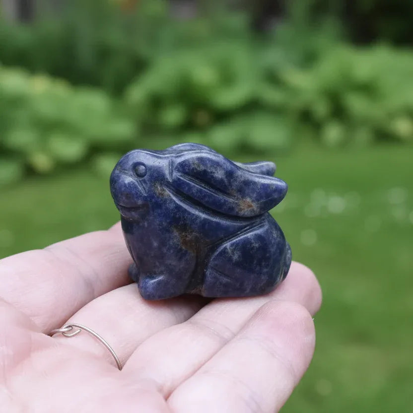 Lapin en Sodalite 28g (PRGFL365-6)