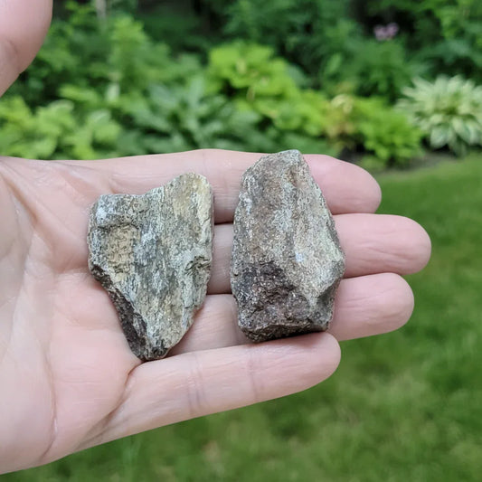 Lot de 2 os de dinosaure fossilisé brut (MB530-2)