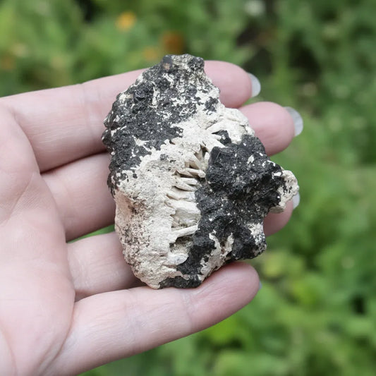 Néphéline sur Schorlomite brute 96g (MB220)