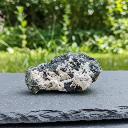 Néphéline sur Schorlomite brute 96g (MB220)