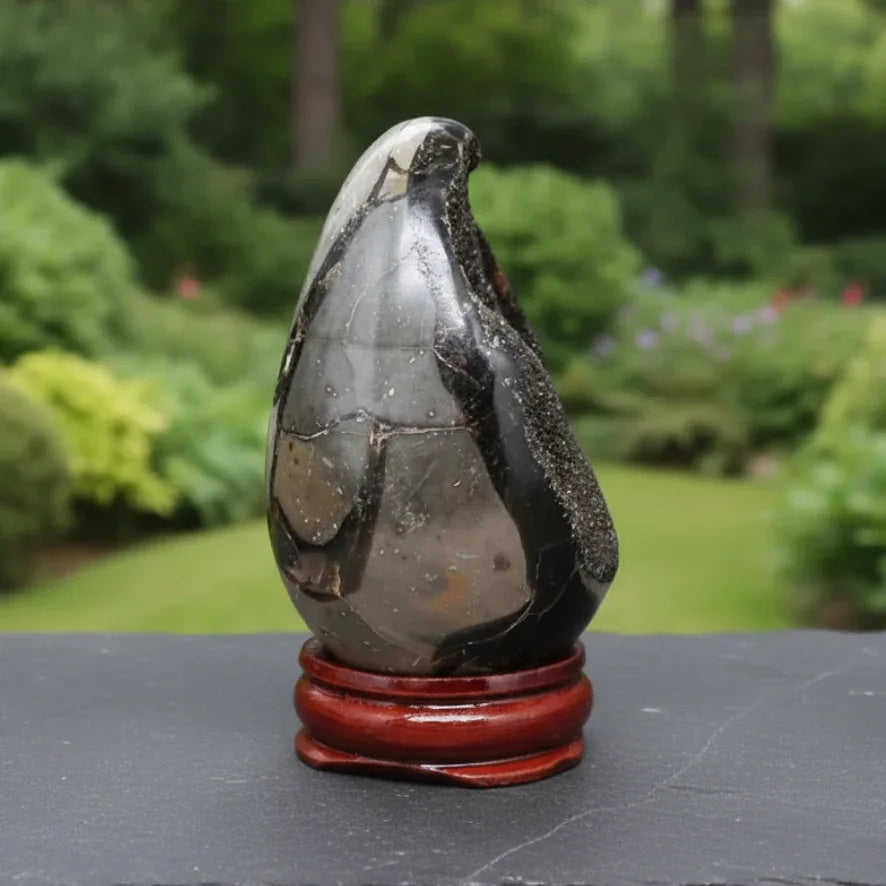 Œuf en Septaria brut et poli 146g (PRGFL588-12)