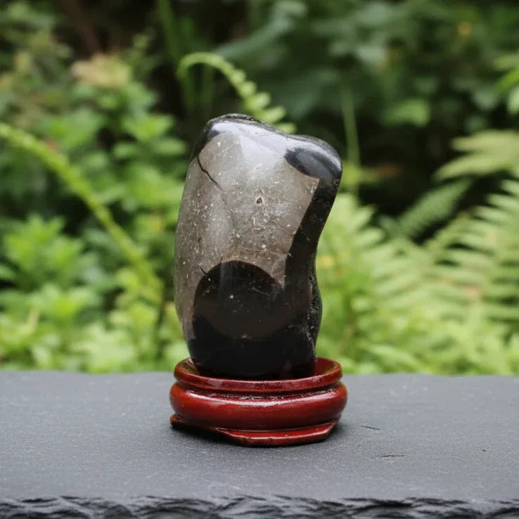 Œuf en Septaria brut et poli 94g (PRGFL588-1)