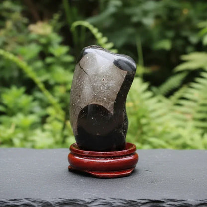 Œuf en Septaria brut et poli 94g (PRGFL588-1)