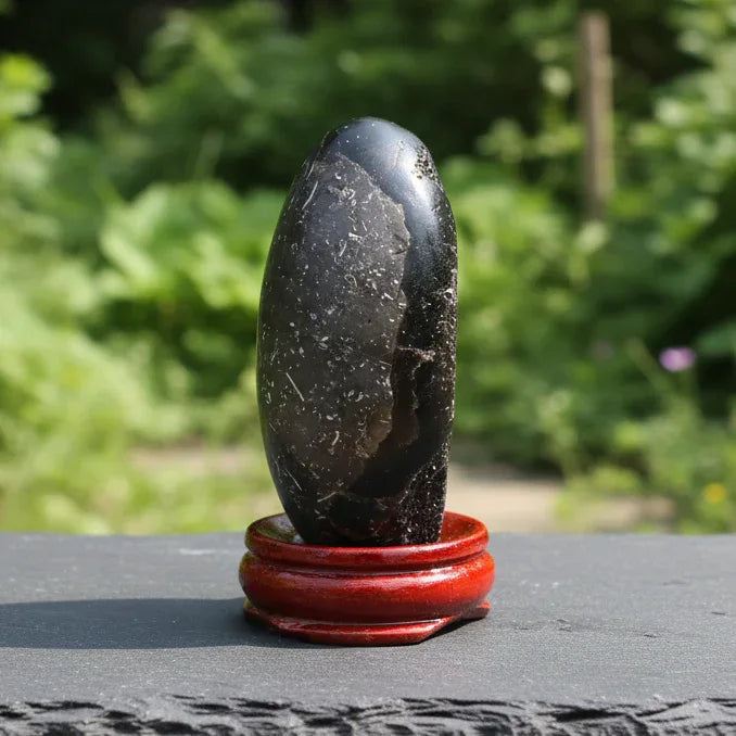 Œuf en Septaria brut et poli 83g (PRGFL588-2)