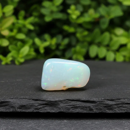 Opale Welo polie 1,4g (PRGFL736-1)