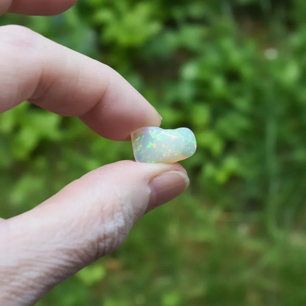 Opale Welo polie 1,4g (PRGFL736-1)