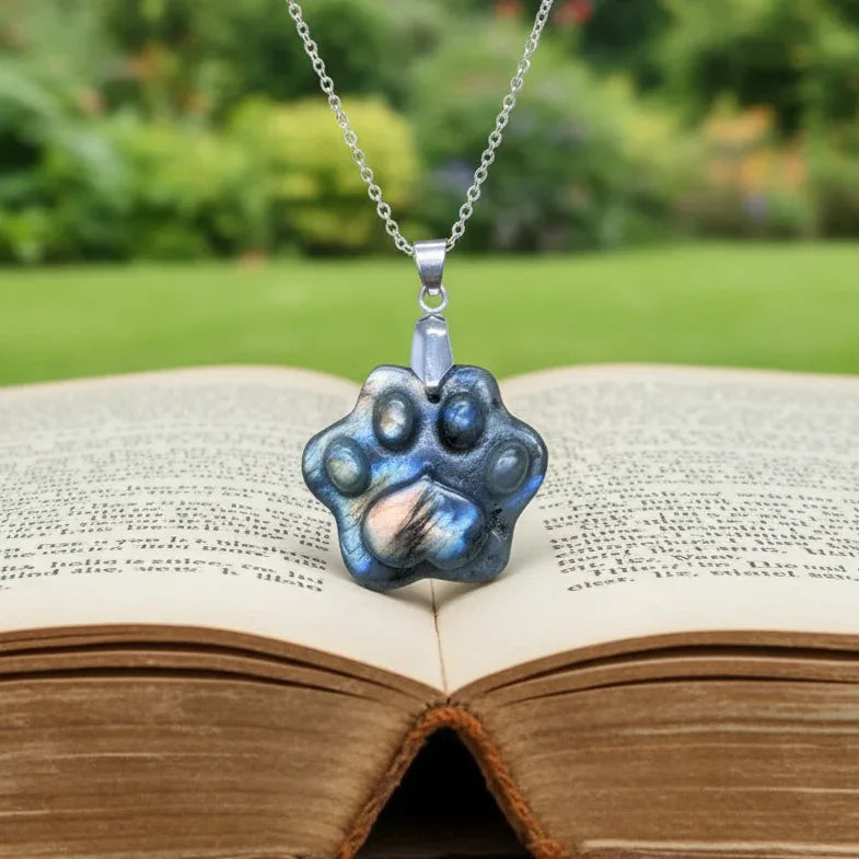 Pendentif patte en Labradorite (PE2022-1)