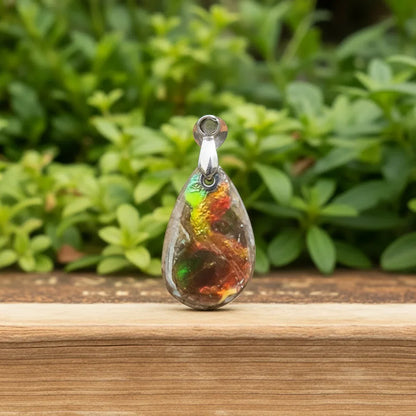 Pendentif en Ammolite (PE1909-2)
