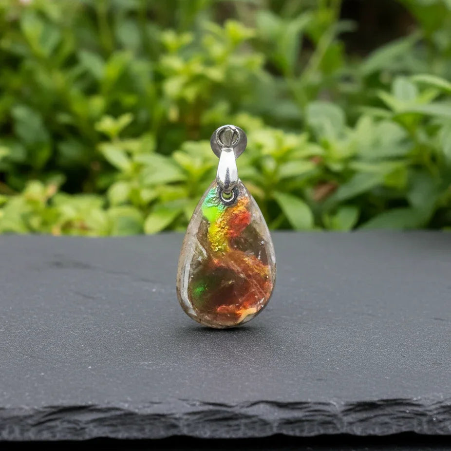 Pendentif en Ammolite (PE1909-2)