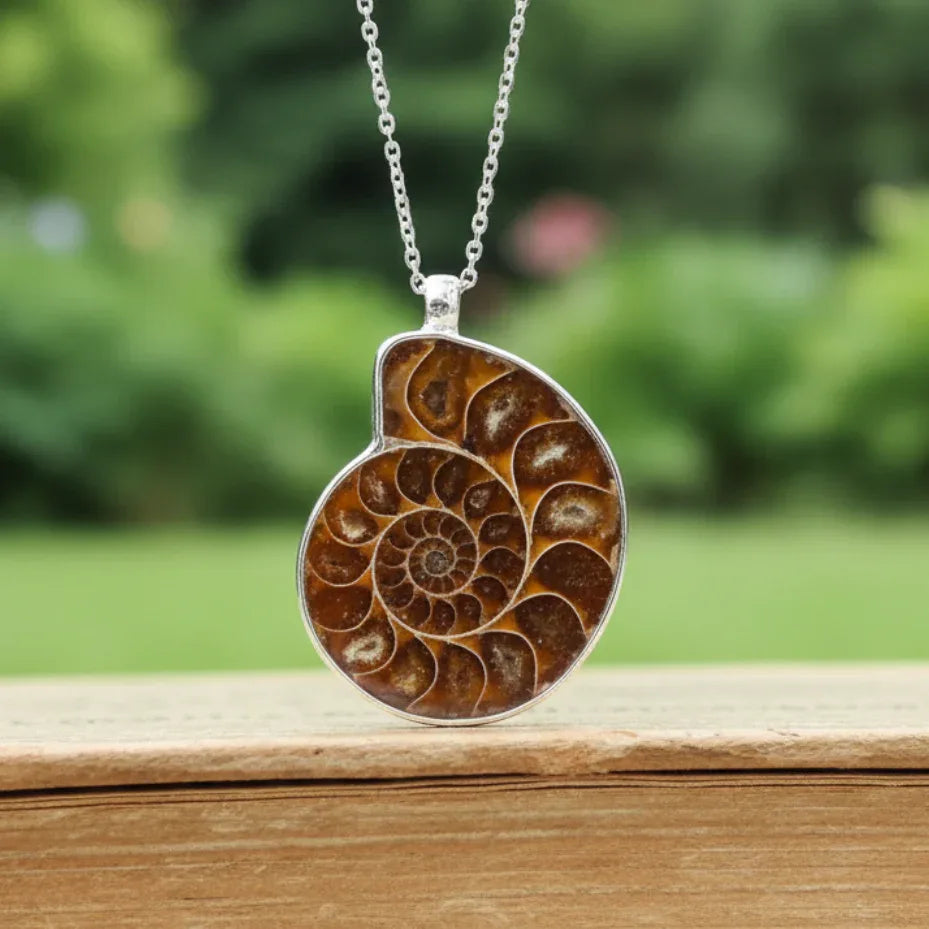 Pendentif serti en Ammonite dos brut (PE1828-1)
