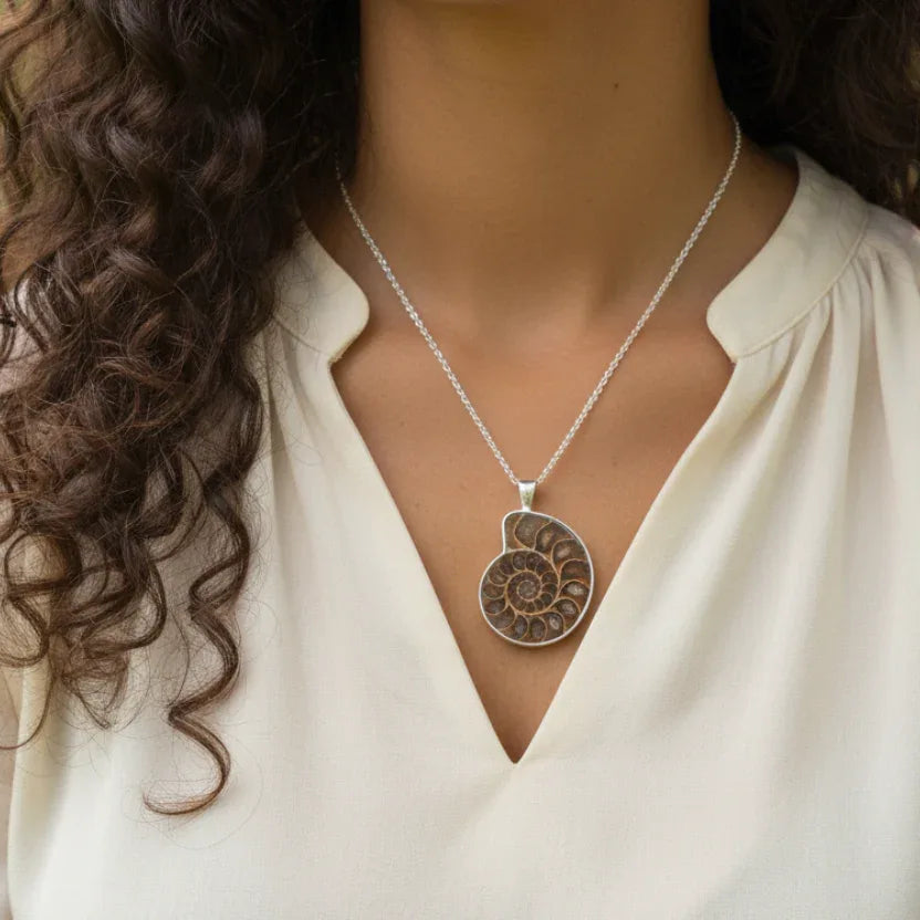 Pendentif serti en Ammonite dos brut (PE1828-1)