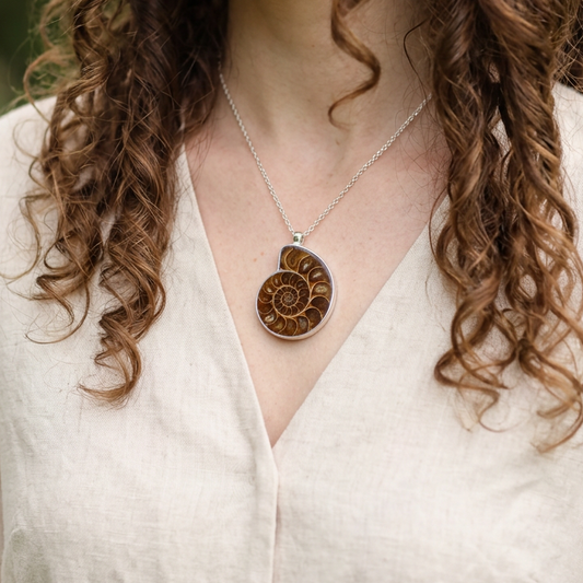 Pendentif serti en Ammonite dos brut (PE1828 - 1)