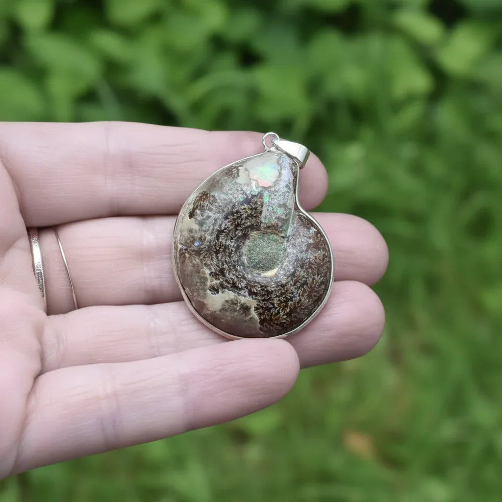Pendentif serti en Ammonite dos brut (PE1828-1)