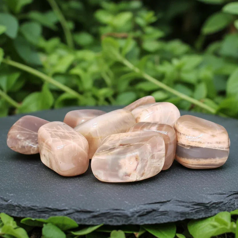 Pierre de Lune pêche (PRGFL444)