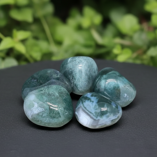 Agate Mousse - Pierre roulée (PRGFL543)