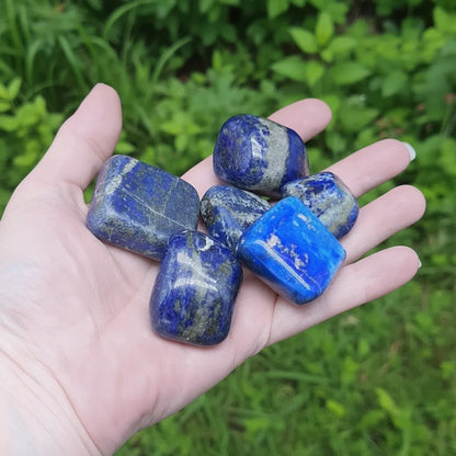 Pierres polies en Lapis-Lazuli (PRGFL695)