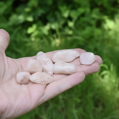 Morganite - Pierre roulée (PRGFL546)