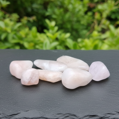 Morganite - Pierre roulée (PRGFL546)