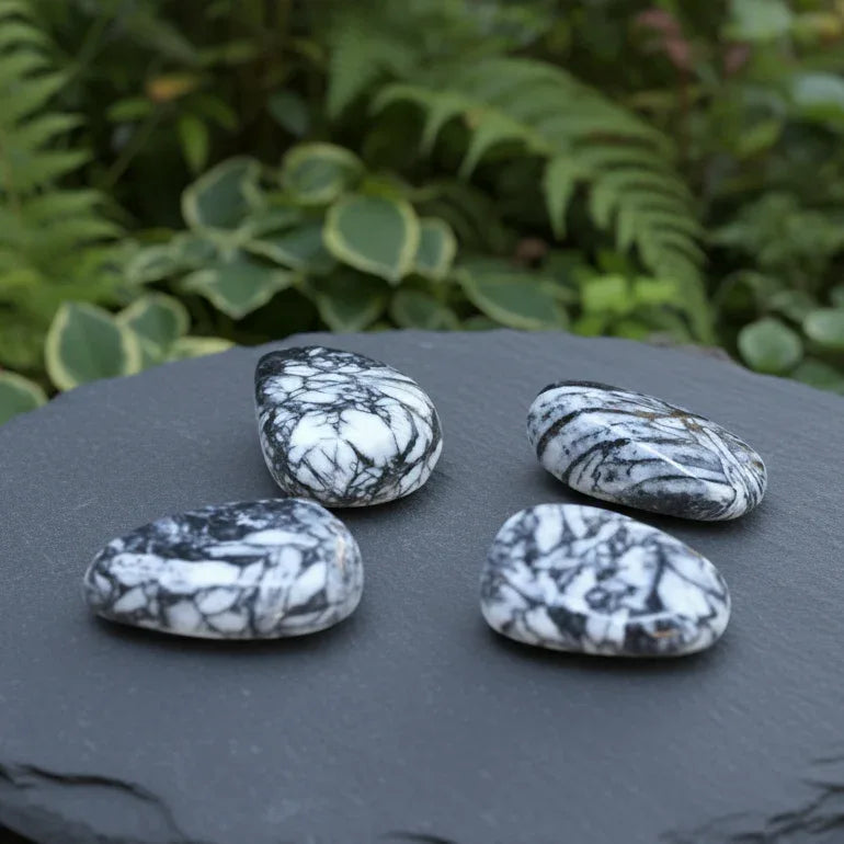 Pinolite - Pierre roulée (PRGFL427)