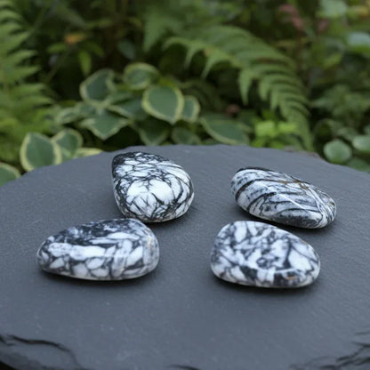 Pinolite - Pierre roulée (PRGFL427)