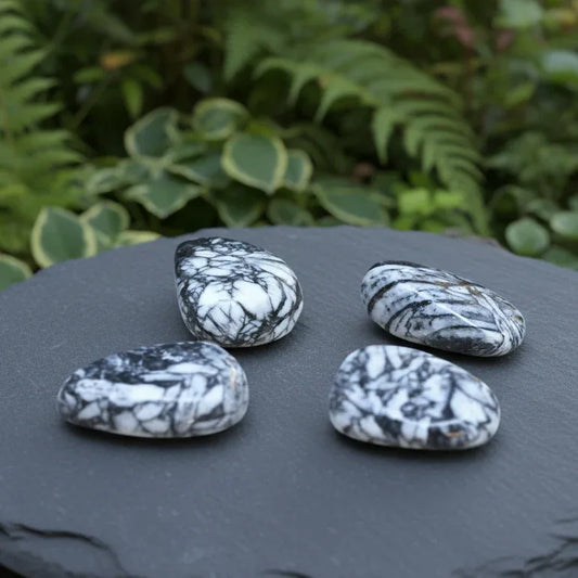 Pinolite - Pierre roulée (PRGFL427)