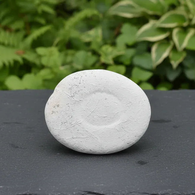 Pierre de Fée du Canada brute 59g (MB431-7)