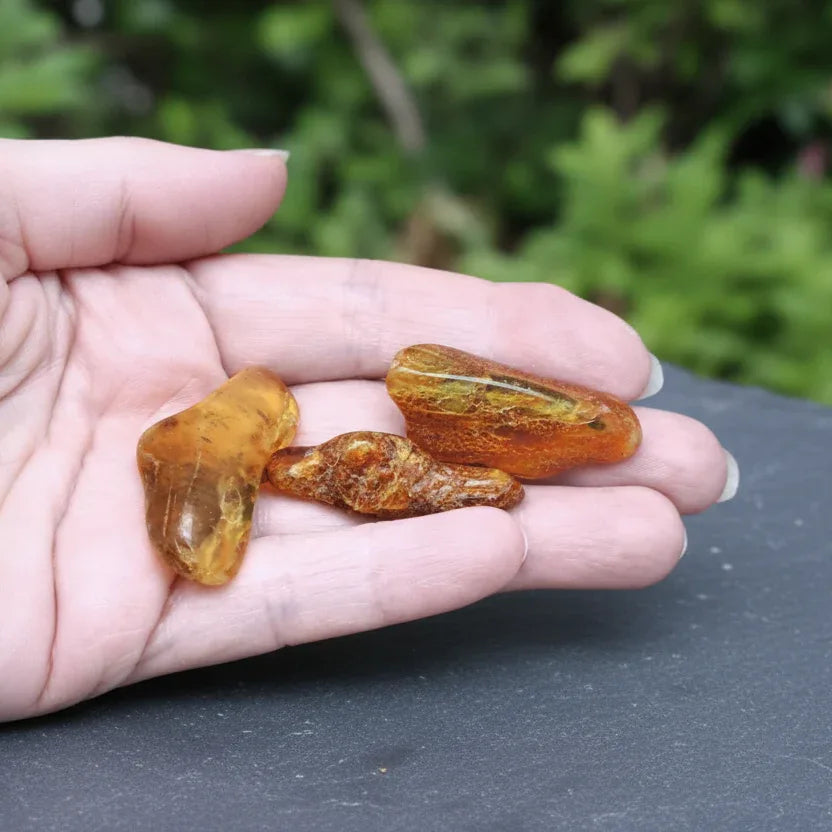 Ambre de la Baltique - Pierre roulée (PRGFL431)