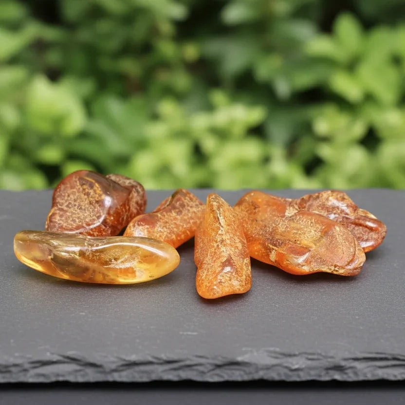 Ambre de la Baltique - Pierre roulée (PRGFL431)