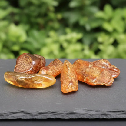 Ambre de la Baltique - Pierre roulée (PRGFL431)