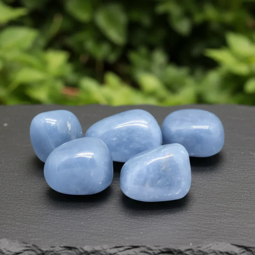 Angélite - Pierre roulée (PRGFL405)