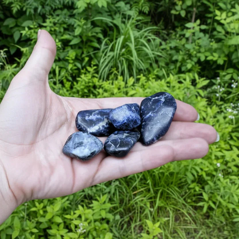 Sodalite - Pierre roulée (PRGFL448)